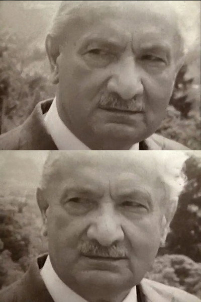 Póster de Martin Heidegger - Im Denken unterwegs