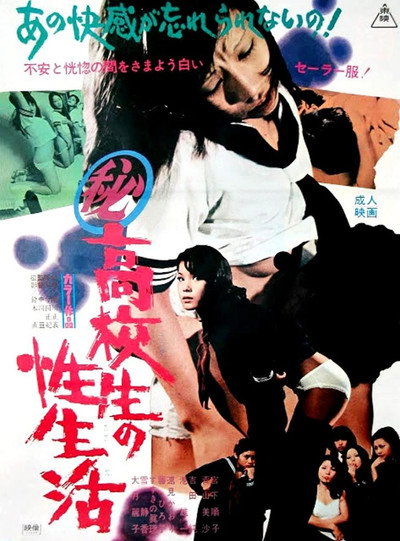Póster de Maruhi kôkôsei no sei seikatsu