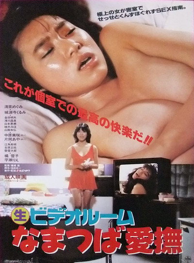 Póster de (Marunama) Video Room: Namatsuba Aibu