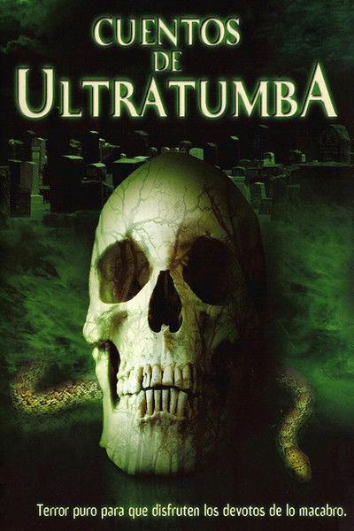 Póster de Más allá de la tumba