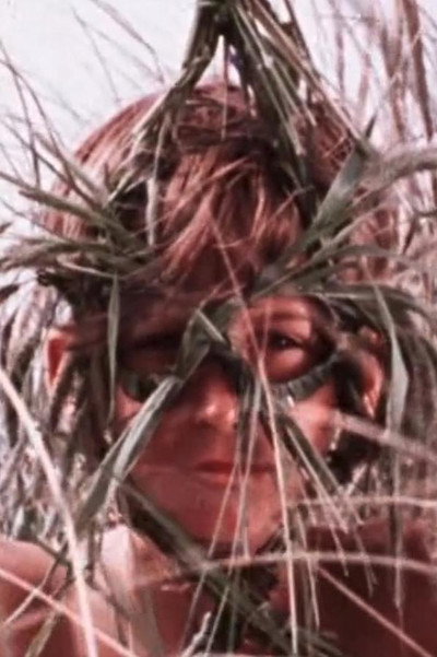 Póster de Masks of Grass