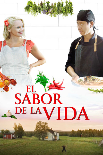 Póster de Master Cheng