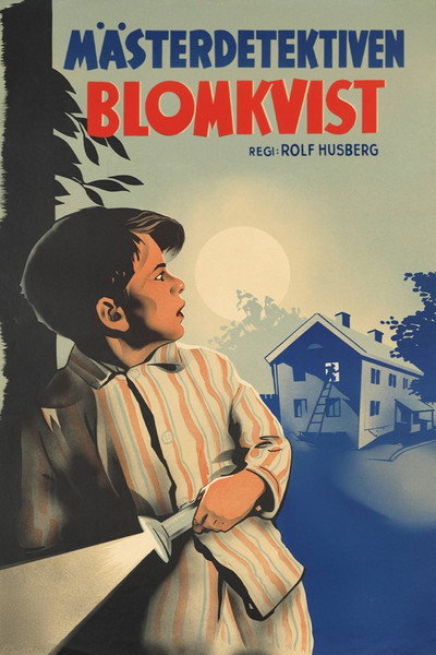 Póster de Master Detective Blomkvist