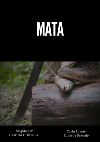 Póster de MATA