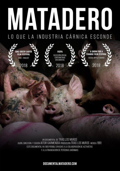 Póster de Matadero