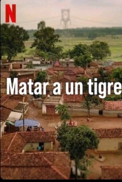 Póster de Matar a un tigre