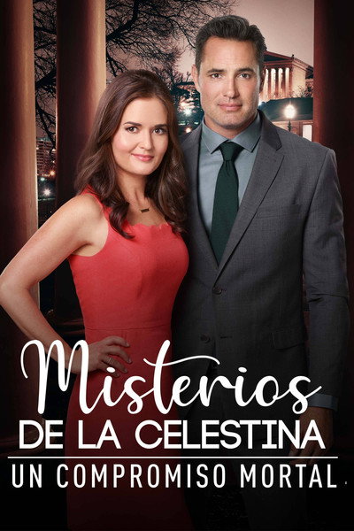 Póster de MatchMaker Mysteries: A Killer Engagement