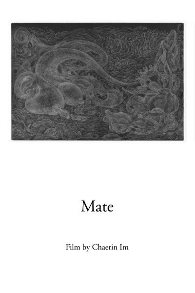 Póster de Mate