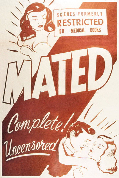 Póster de Mated