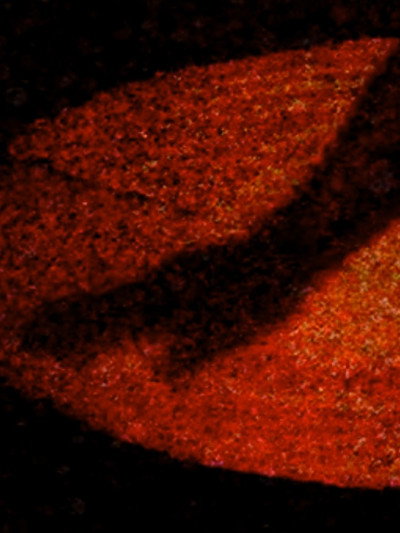 Póster de Materia Obscura