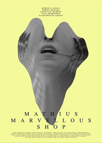 Póster de Mathius Marvellous Shop
