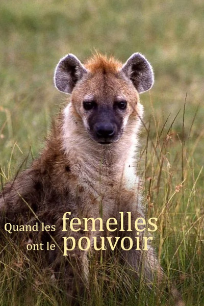 Póster de Matriarchate in der Tierwelt - Wenn Weibchen die Macht haben