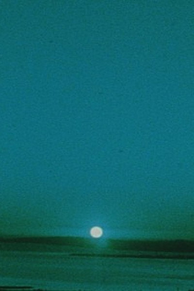 Póster de Matter of Clarity
