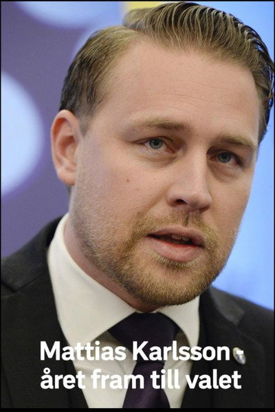 Póster de Mattias Karlsson: Året fram till valet