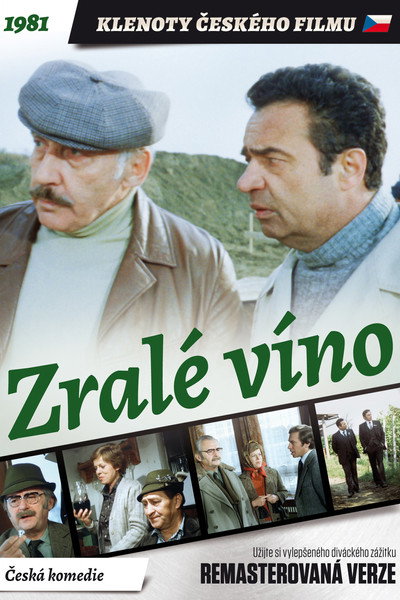 Póster de Mature Wine