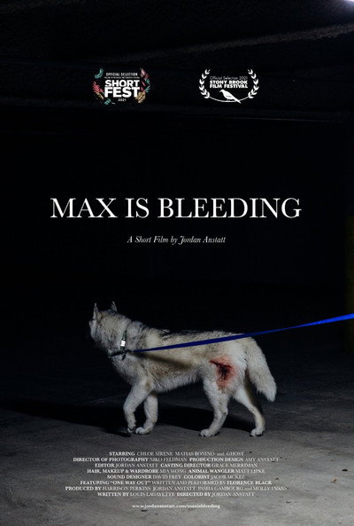 Póster de Max is Bleeding