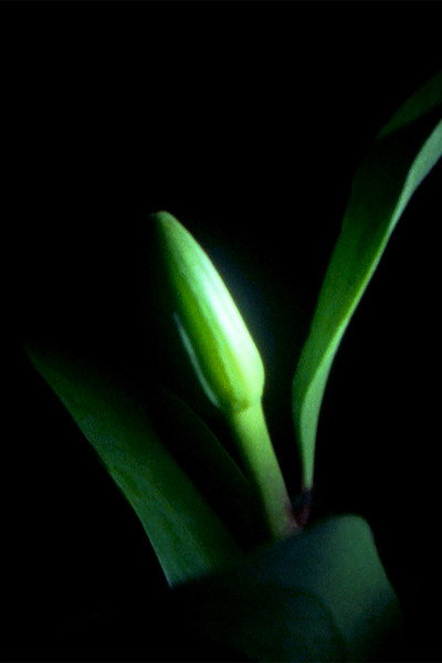 Póster de May June July