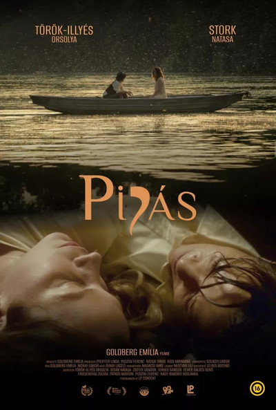 Póster de Mayflies