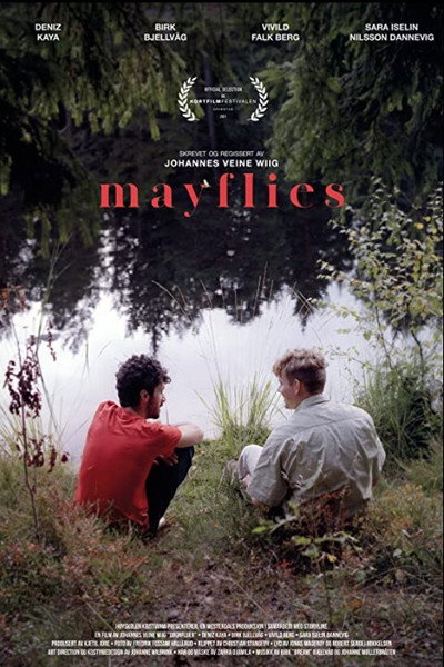 Póster de Mayflies