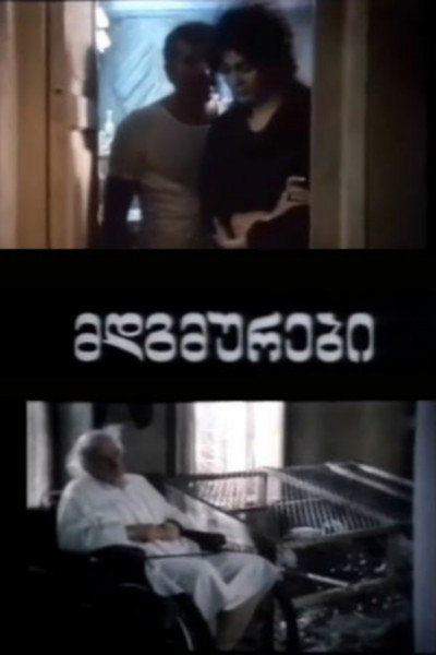 Póster de Mdgmurebi