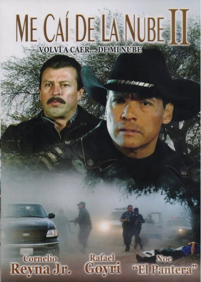 Póster de Me cai de la nube 2