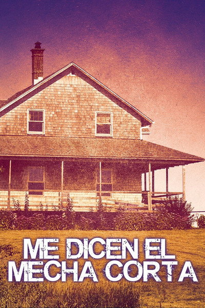 Póster de Me dicen el mecha corta