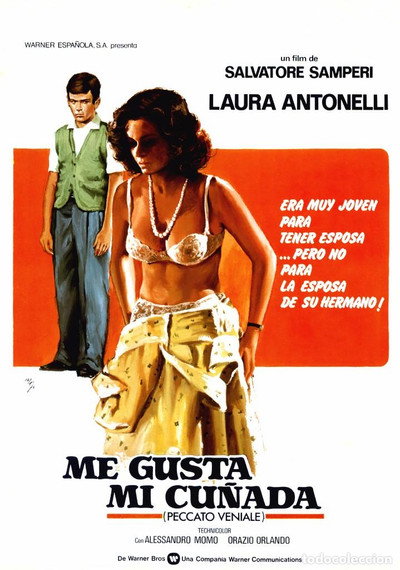 Póster de Me gusta mi cuñada