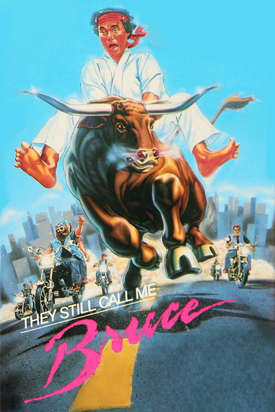 Póster de Me siguen llamando Bruce