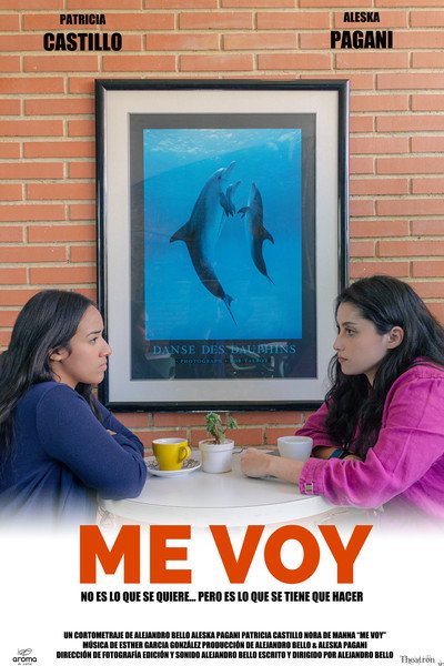 Póster de Me voy
