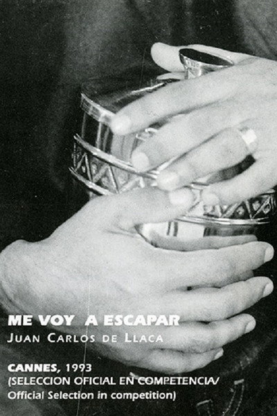 Póster de Me voy a escapar
