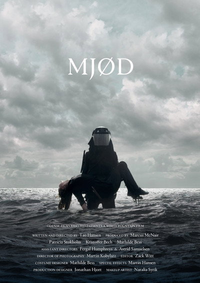 Póster de Mead