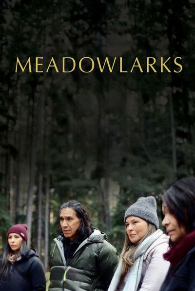Póster de Meadowlarks