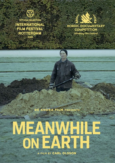Póster de Meanwhile on Earth