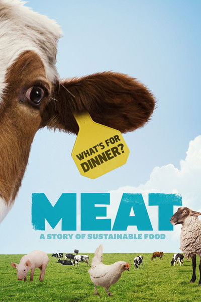 Póster de Meat