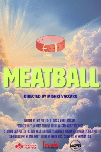 Póster de Meatball