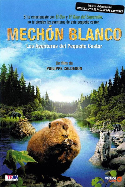 Póster de Mechón blanco: las aventuras del pequeño castor