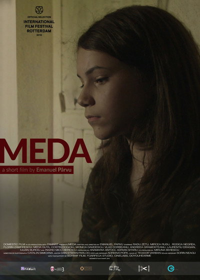 Póster de Meda