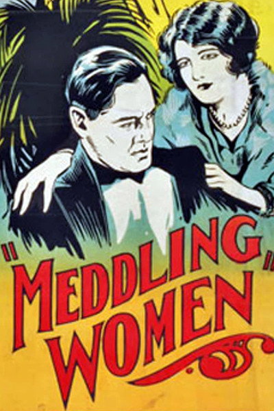 Póster de Meddling Women