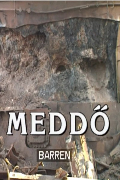 Póster de Meddö