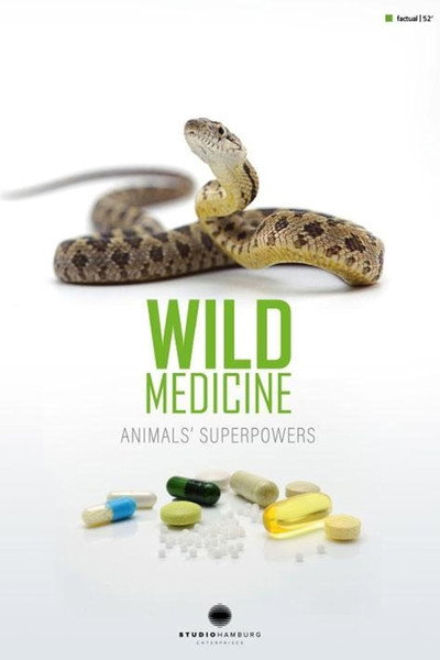 Póster de Medicina silvestre: Superpoderes de los animales