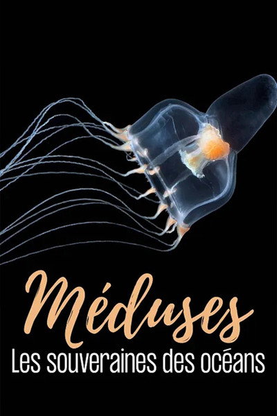 Póster de Méduses - Les souveraines des océans