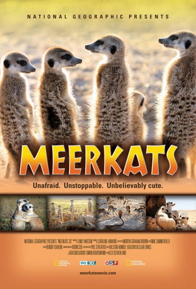 Póster de Meerkats