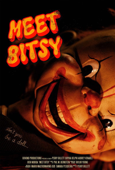 Póster de Meet Bitsy