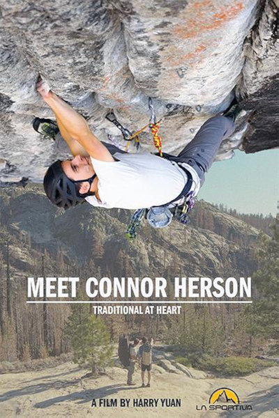 Póster de Meet Connor Herson