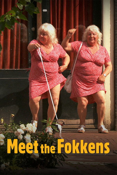 Póster de Meet the Fokkens
