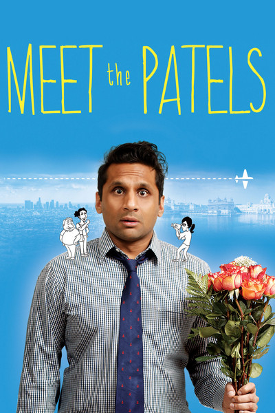 Póster de Meet the Patels