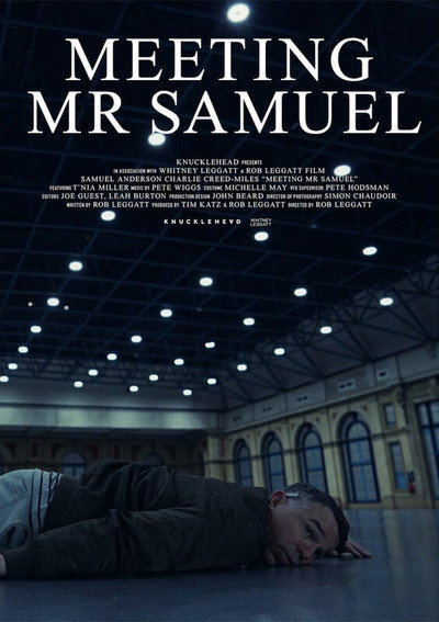 Póster de Meeting Mr Samuel