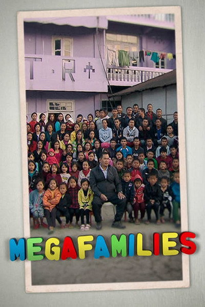 Póster de Megafamilies