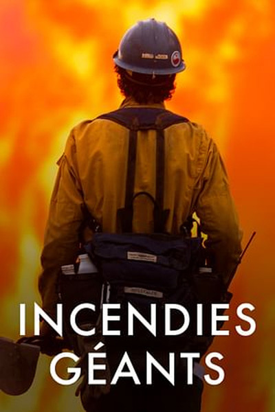 Póster de Megafires