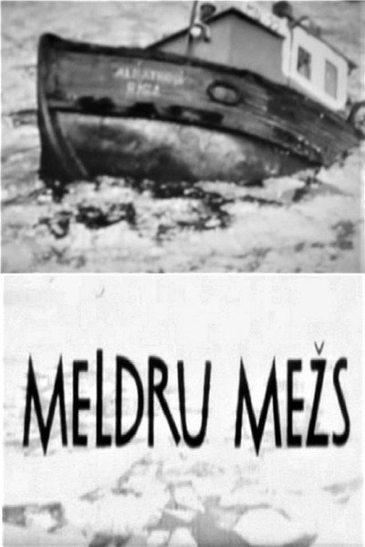 Póster de Meldru mezs